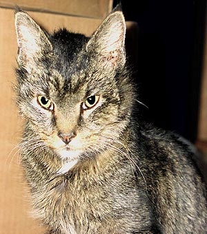 Ember is standing, facing toward the screen. The camera's flash lights up her face and eyes.