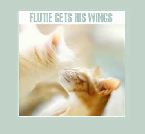 In an indistinct photo, Flutie 's faceis looking up as a a Moon's face is looking down, almost as if an angel were giving Flutie his wings.