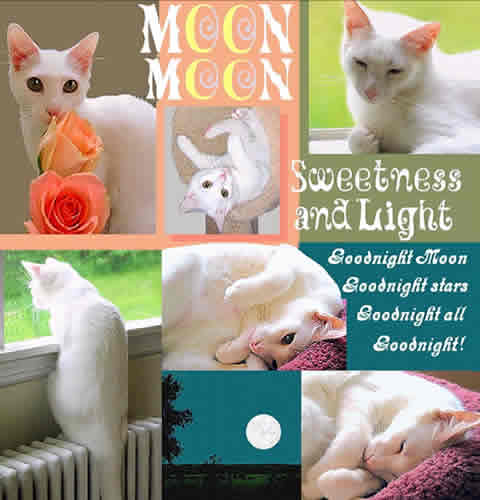 A collage of different photographs of Moon, with the quote: "Goodnight Moon, Goodnight Stars, Goodnight all, Goodnight!"