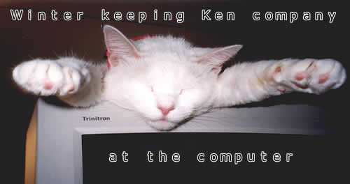 Winter, a white car, is asleep on top of my computer monitor.  Her front paws are reached straight out in front of her, as if she were flying. The photo has these words on it: "Winter keeping Ken company at the computer."